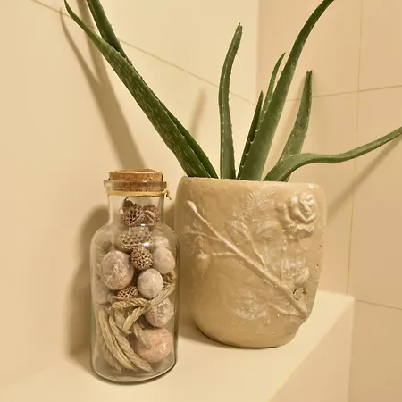 In Near Diocletian's Palace 公寓 *